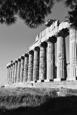 İtalya, Sicilya, Selinunte