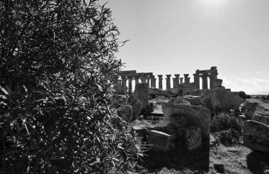 İtalya, Sicilya, Selinunte