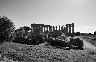 İtalya, Sicilya, Selinunte