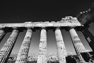 İtalya, Sicilya, Selinunte