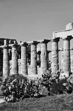 İtalya, Sicilya, Selinunte