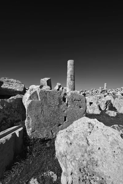 İtalya, Sicilya, Selinunte