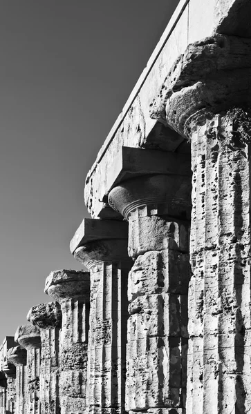 Италия, Sicily, Selinunte — стоковое фото