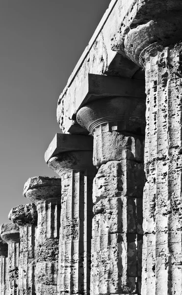 Italy, Sicily, Selinunte — Stock Photo, Image