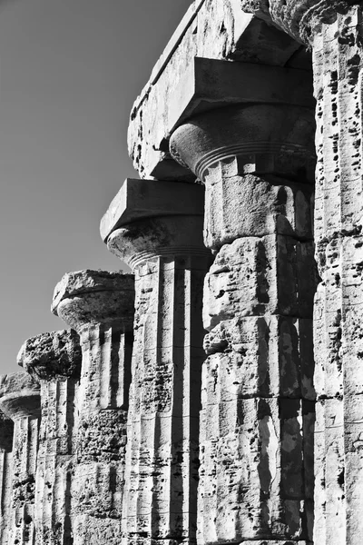 İtalya, Sicilya, Selinunte