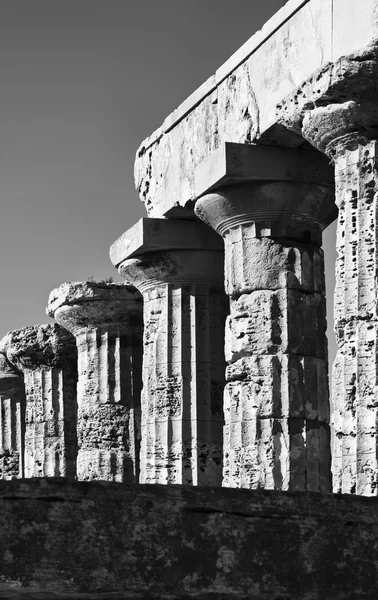 İtalya, Sicilya, Selinunte