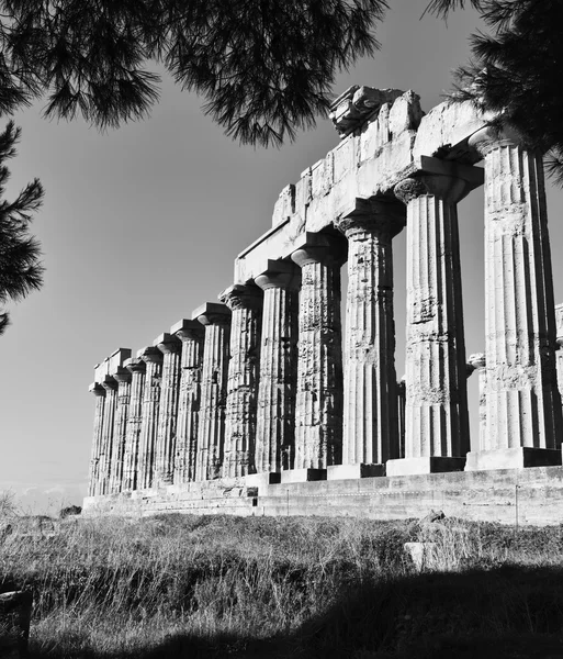 Italia, Sicilia, Selinunte — Foto Stock