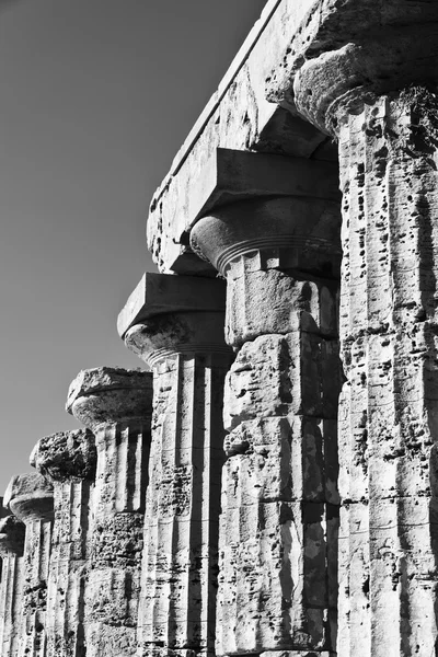 İtalya, Sicilya, Selinunte