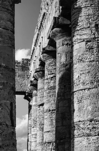 İtalya, Sicilya, Selinunte