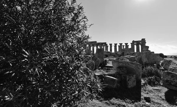 İtalya, Sicilya, Selinunte