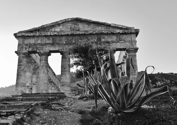 Italia, Sicilia, Segesta, Templo Griego — Foto de Stock