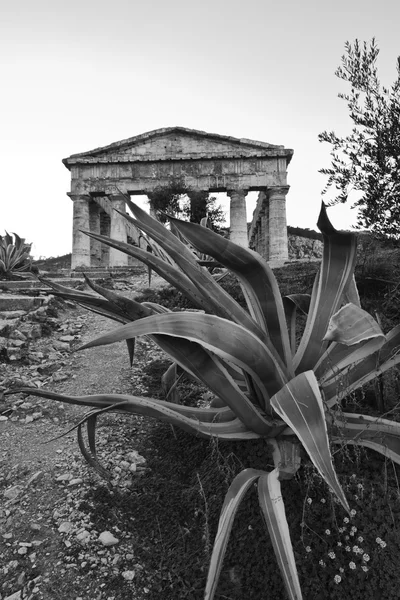 Italia, Sicilia, Segesta, Tempio Greco — Foto Stock