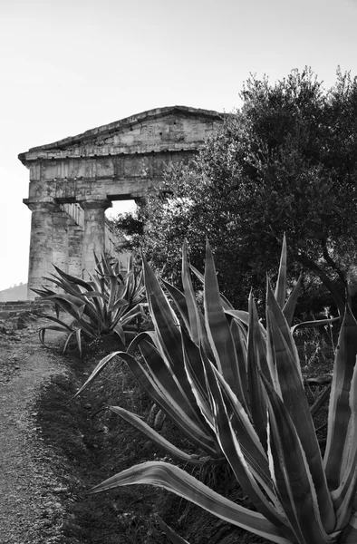 Itálie, Sicílie, Segesta, Řecký chrám — Stock fotografie