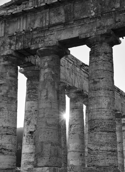 意大利、西西里、塞格斯塔、希腊圣殿 — 图库照片