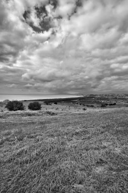 Akdeniz'in kıyı şeridi