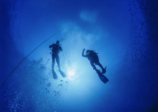 Scuba δύτες αποσυμπίεση μετά από μια βαθιά βουτιά — Φωτογραφία Αρχείου