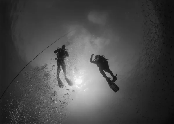 Scuba duikers decomprimeren na een diepe duik — Stockfoto