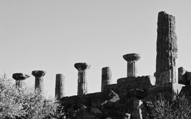 Herkül Tapınağı sütunlar