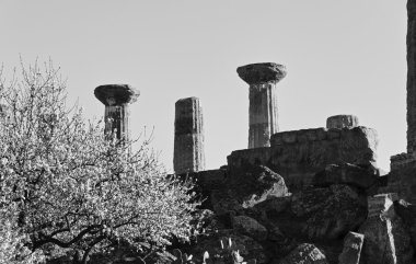 Herkül Tapınağı sütunlar