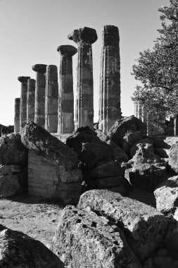 Herkül Tapınağı sütunlar