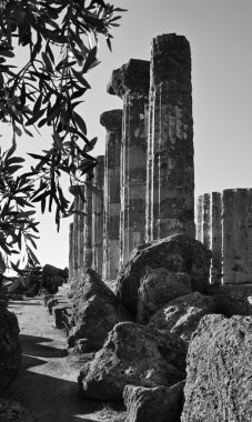 Herkül Tapınağı sütunlar