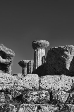 Herkül Tapınağı sütunlar