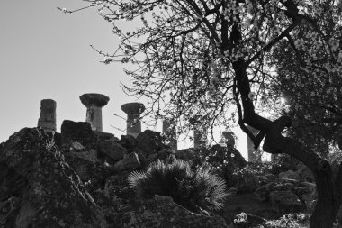 Badem ağacı ve Herkül Tapınağı