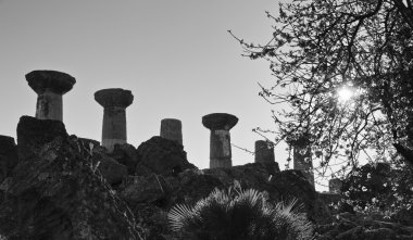 Badem ağacı ve Herkül Tapınağı