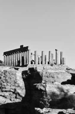 Yunan tapınakları Valley, Juno Temple