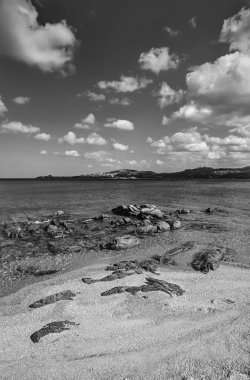 Sardunya, kayalık sahil şeridi