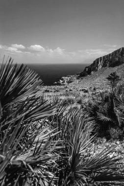 Sicilya rocky kıyı şeridi