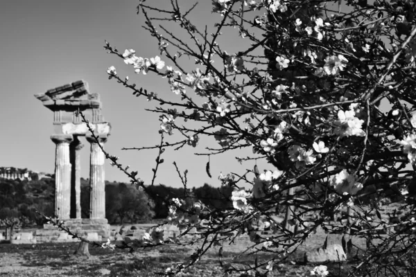 Grekiska tempel dalen, Polluce tempel — Stockfoto