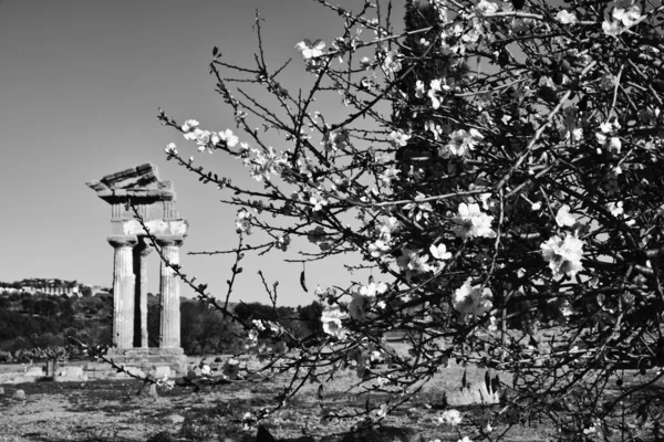 Řecké chrámy údolí, Polluce chrám — Stock fotografie