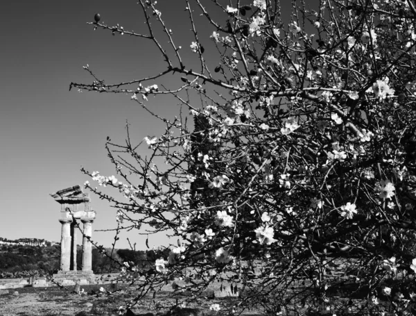 Greek Temples Valley, Templo de Polluce — Fotografia de Stock