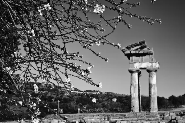 Valle de los templos griegos, templo de Polluce (templo de Hera ) —  Fotos de Stock