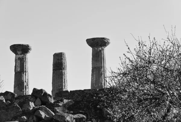 Herkules-Tempelsäulen — Stockfoto