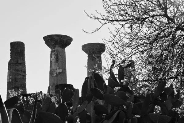 Colunas do Templo de Hércules — Fotografia de Stock