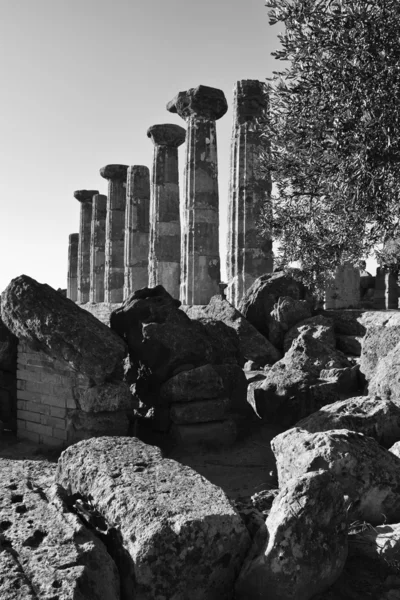 ヘラクレス神殿の列 — ストック写真