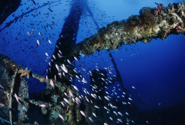 Кораблекрушение
