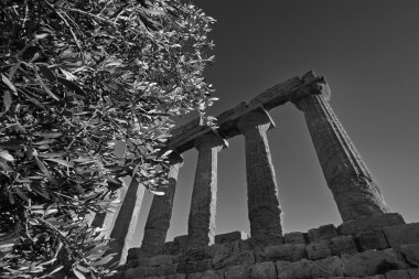 Juno Temple gün batımında