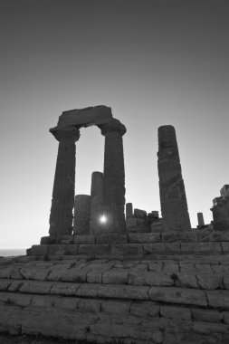 Juno Temple gün batımında