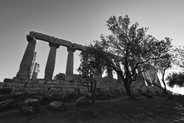 Juno Temple gün batımında