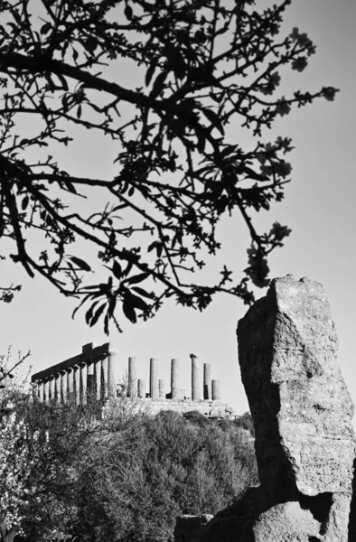 Юнона храм в Греції — стокове фото