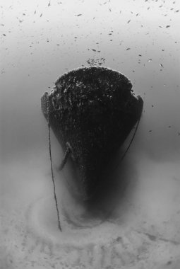 Batık Rus gemi enkazı