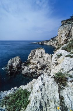 San Domino Adası'nın kayalık sahil