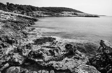 San Domino Adası'nın kayalık sahil
