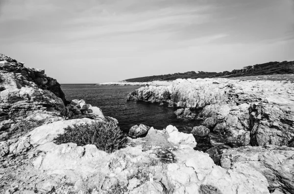 Die felsige Küste der Insel San Domino — Stockfoto