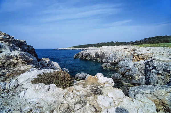 Côte rocheuse de l'île de San Domino — Photo