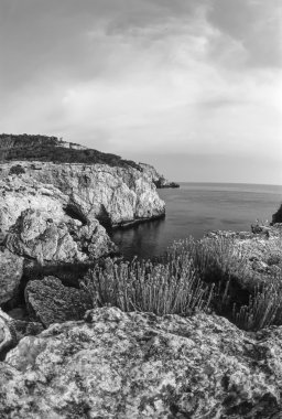 San Domino Adası'nın kayalık sahil