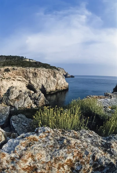 Costa rochosa da ilha de San Domino — Fotografia de Stock